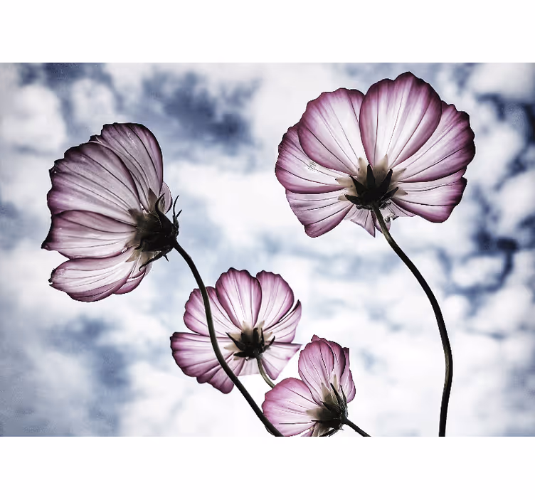 Flowers wall mural delicate floral beauty - TenStickers