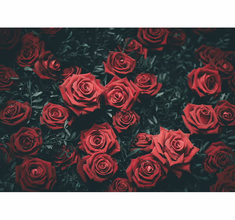 Flowers wall mural romantic red roses design - TenStickers