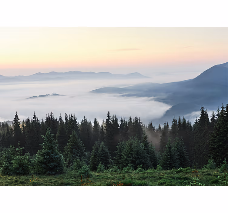Tranquil mountain vista landscape wall mural - TenStickers