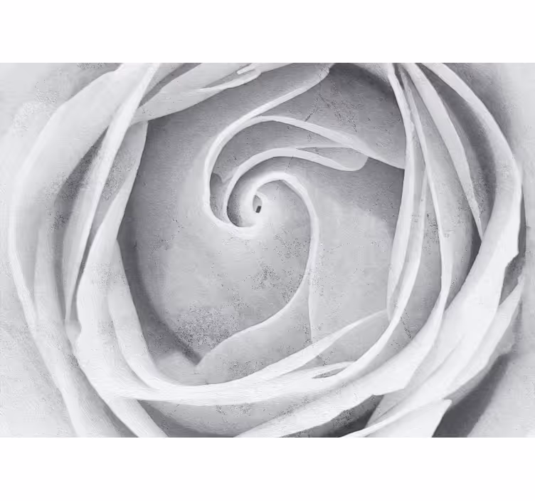 Flowers wall mural elegant rose spiral - TenStickers