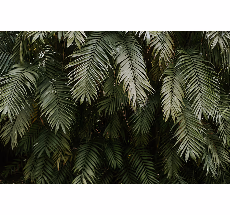 Nature wall mural tropical greenery design - TenStickers
