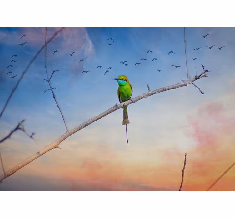 Wall mural animals bird on branch - TenStickers