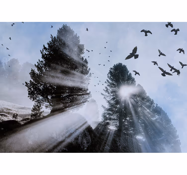 Radiant orest rays with birds forest wall mural - TenStickers
