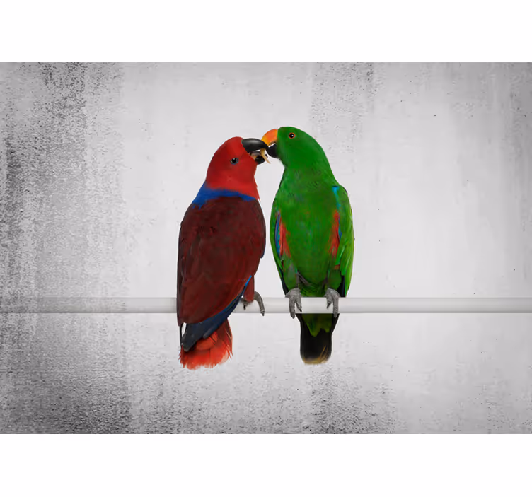 Other wall mural animals colorful parrots interaction - TenStickers