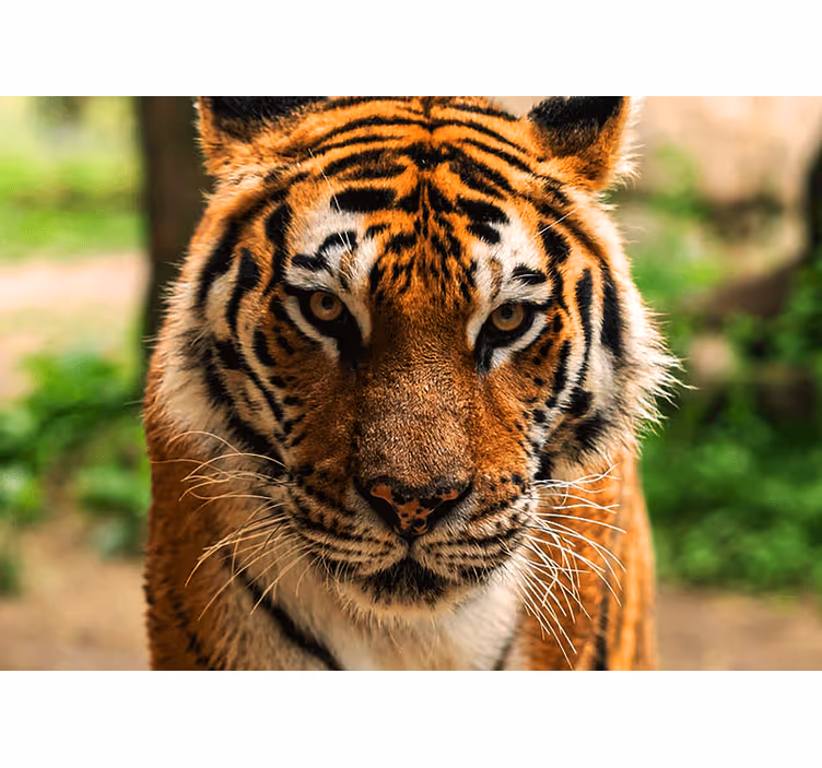 Wall mural animals regal tiger artwork - TenStickers