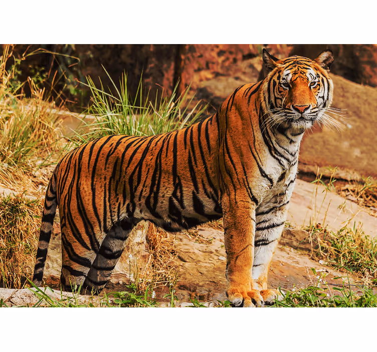 Wall mural animals majestic tiger presence - TenStickers