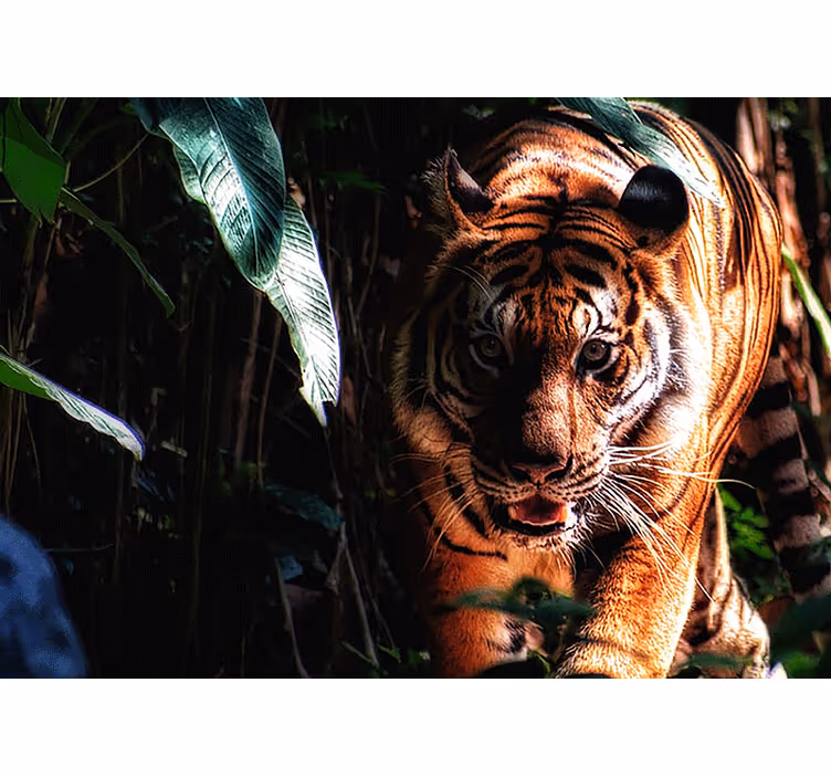 Wall mural animals majestic tiger stalks - TenStickers