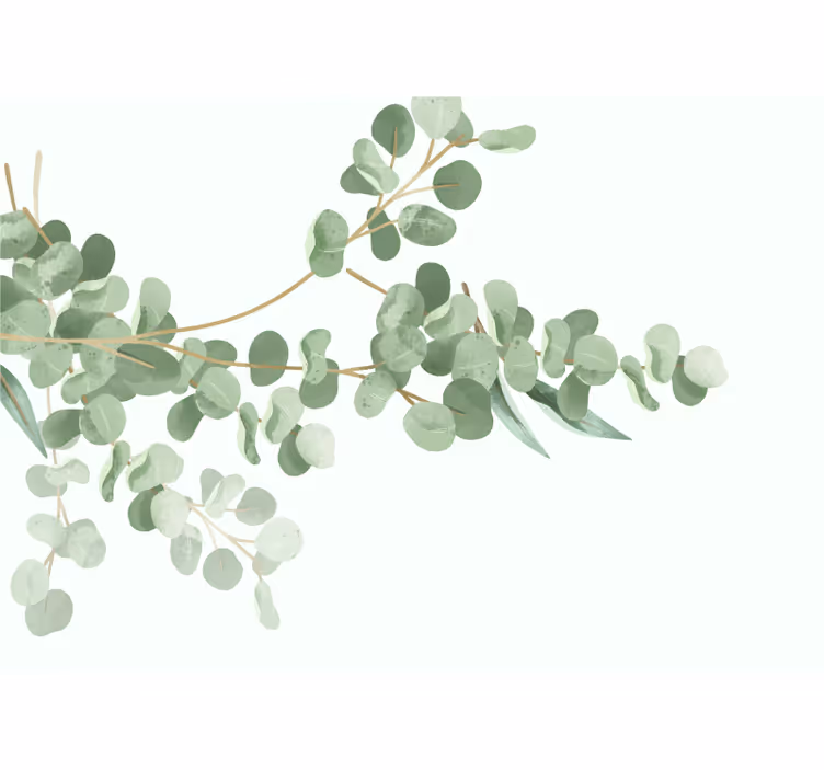 Other flowers wall mural eucalyptus leaf design - TenStickers