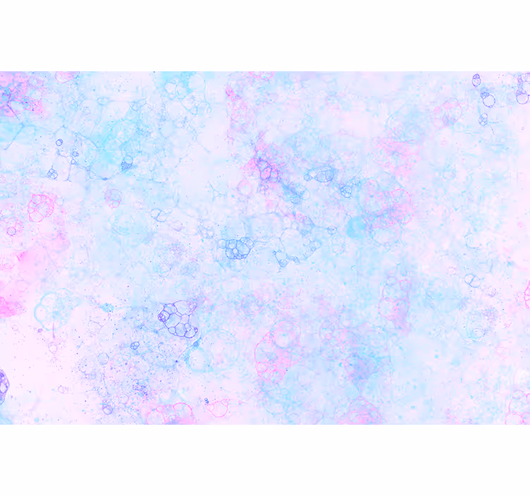 Pink and blue bubbles 3D wall mural - TenStickers