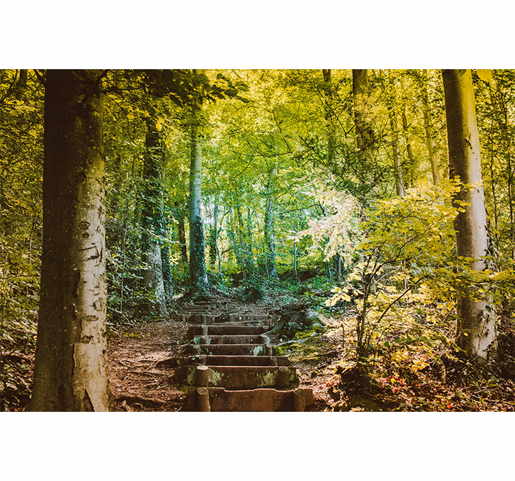 path with stairs Forest Wall Mural Decor - TenStickers