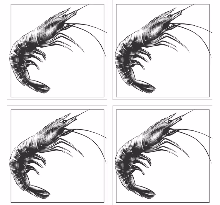 Modern coasters with stylized shrimp design - TenStickers