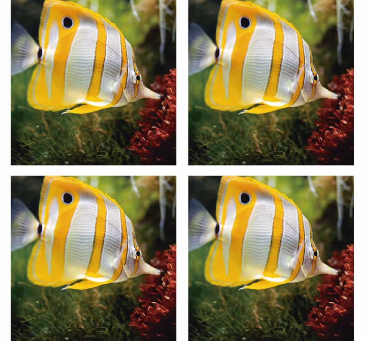 Modern coasters with vibrant fish design - TenStickers