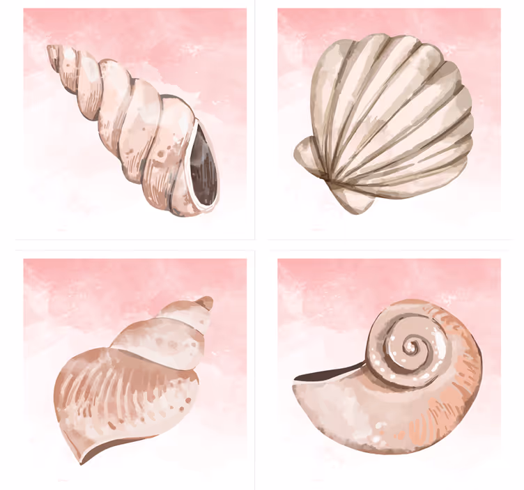 Modern coasters seashells with pink splash - TenStickers