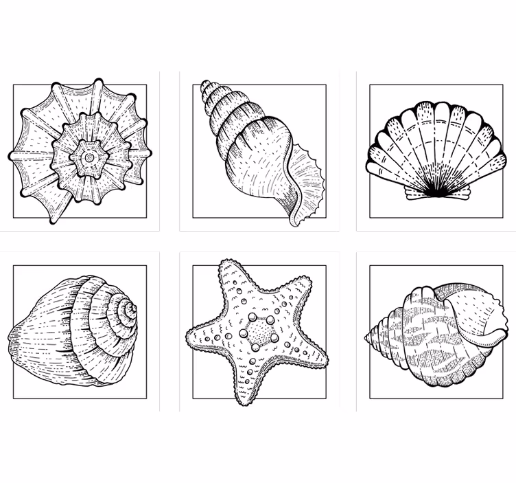 Texture coaster with detailed shell designs - TenStickers