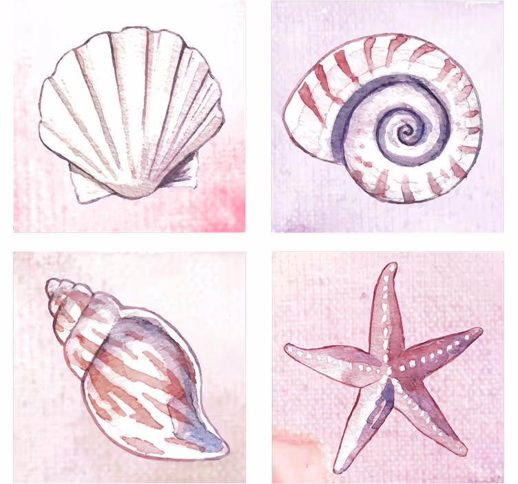 Texture coaster natural shell watercolors - TenStickers