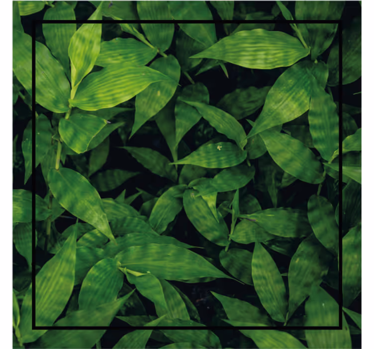 Texture coaster lush green leaf design - TenStickers