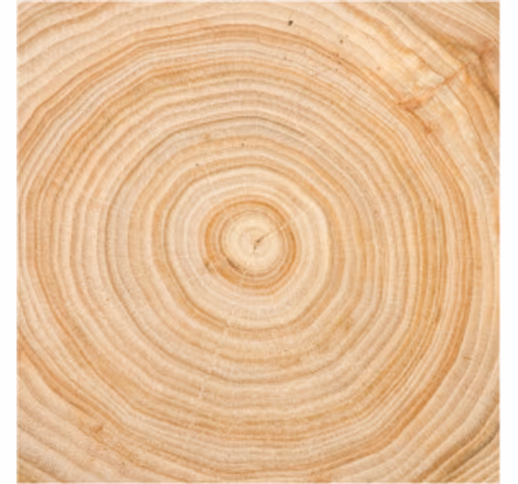 Texture coaster wood grain circle - TenStickers