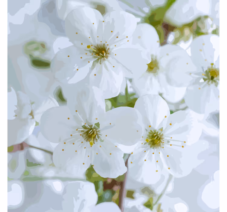 Texture coaster delicate cherry blossoms - TenStickers