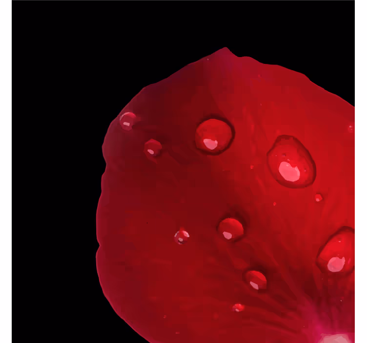 Dewy rose petal texture coaster - TenStickers