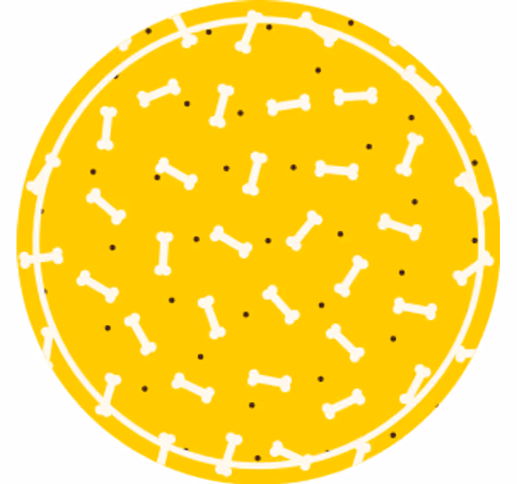 Geek coasters bone pattern round - TenStickers