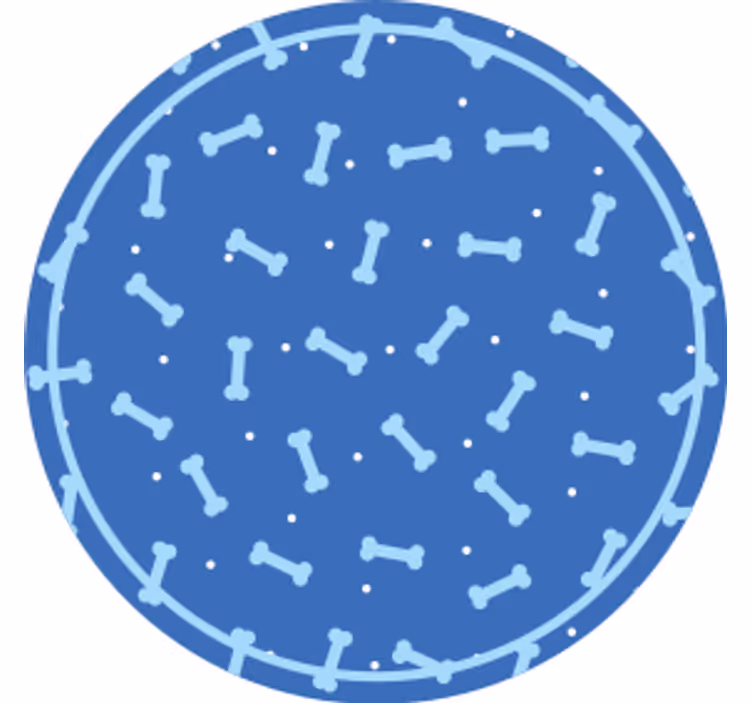 Texture coaster bone pattern circle - TenStickers
