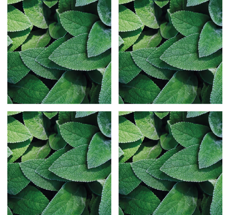 Texture coaster with lively green leaf design - TenStickers