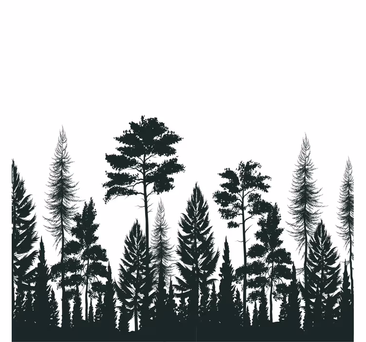 Texture coaster silhouette of tall pines - TenStickers