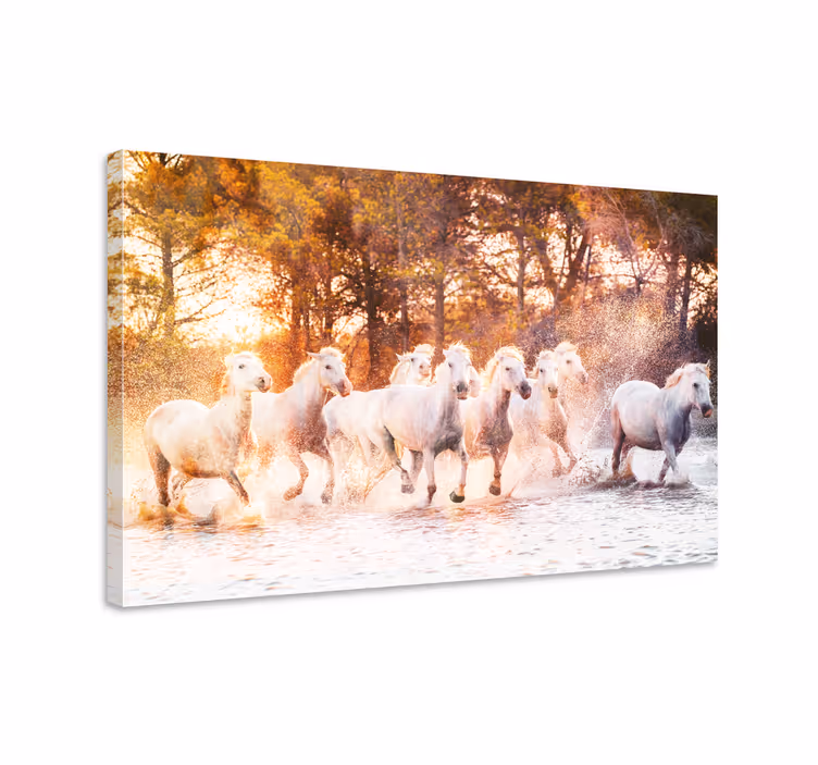 Horse wall art wild horses sunset view - TenStickers