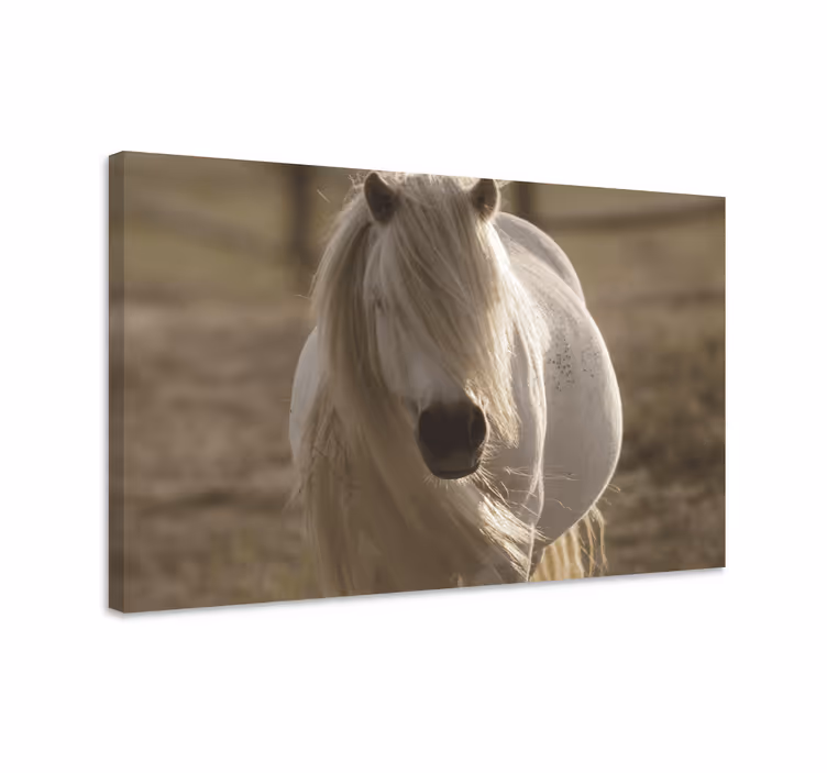 Horse wall art white-faced horse print - TenStickers