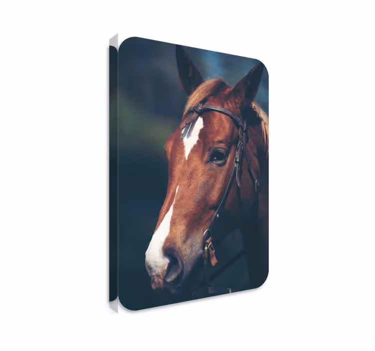 Horse wall art horse head decor - TenStickers