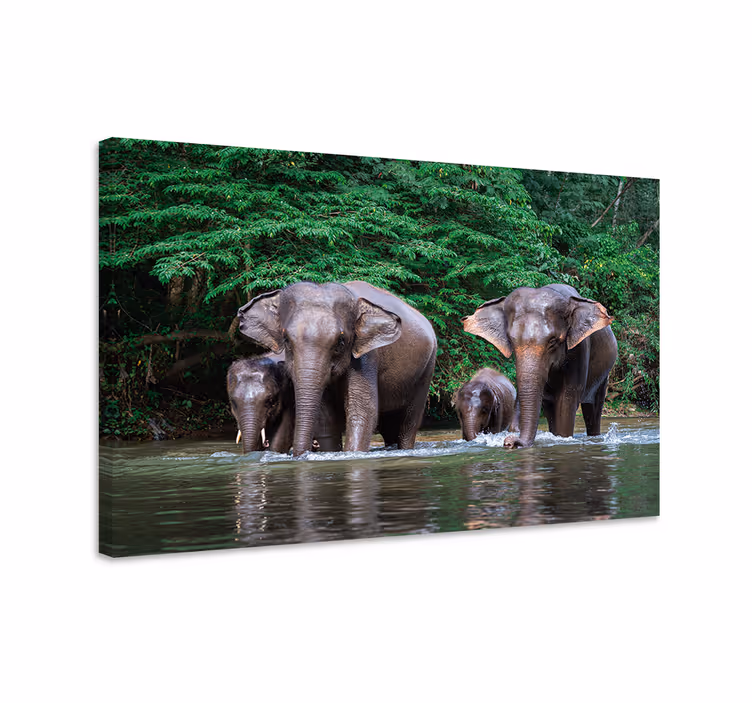 Elephant wallart jungle with animals decor - TenStickers