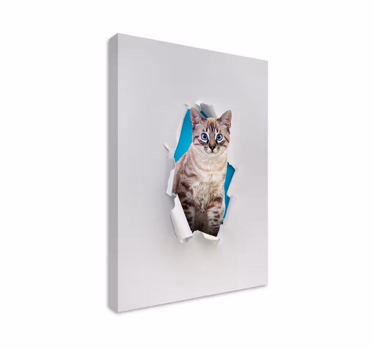 Cat wall art for your feline friends - TenStickers