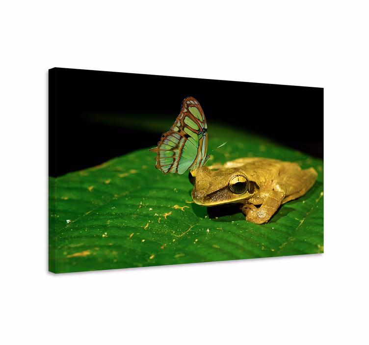 Butterfly canvas serene encounter - TenStickers