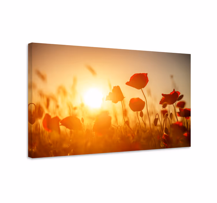 Flowers canvas poppy field radiance - TenStickers