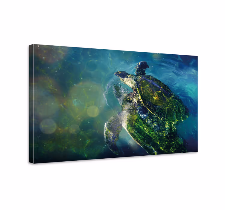 Nautical canvas art graceful sea turtle - TenStickers