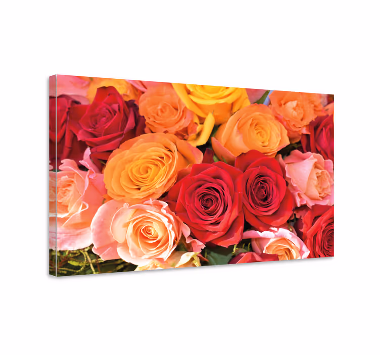 Orange red and pink roses flower canvas - TenStickers