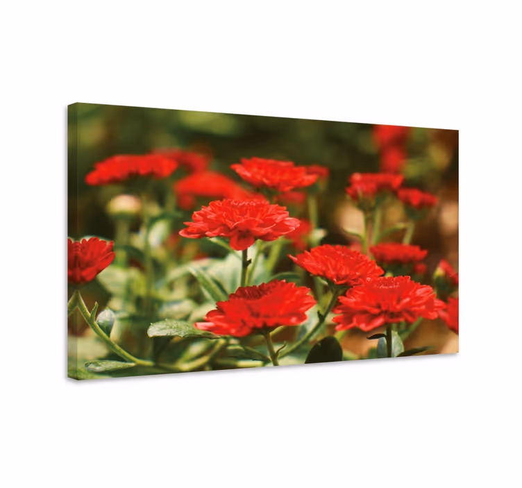 Red flower blooms flowers canvas - TenStickers