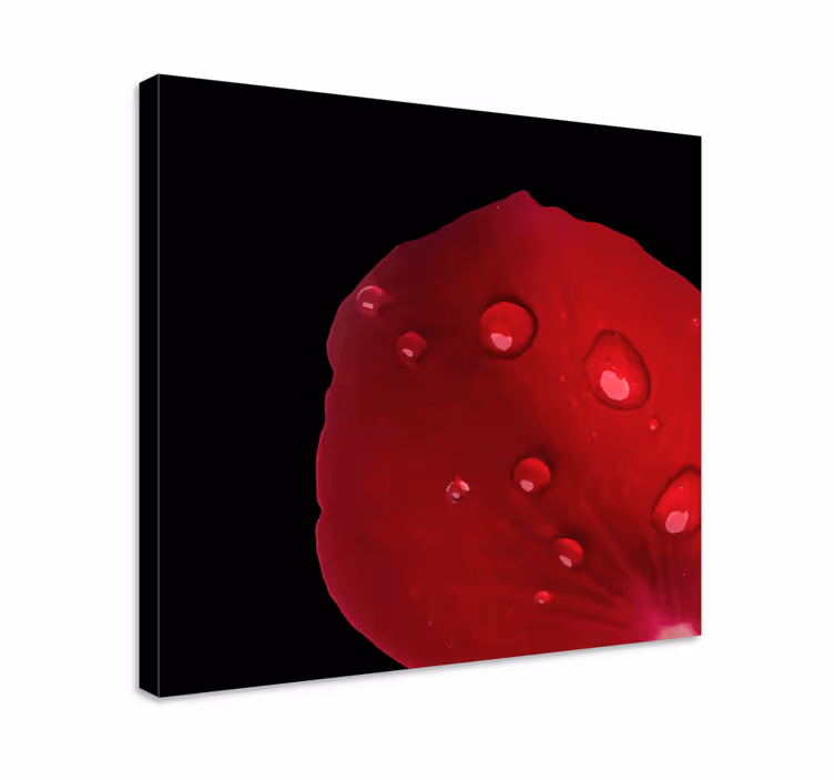 Flowers canvas rose petal detail - TenStickers