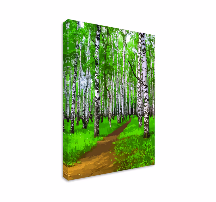 Birch trees forest with the sunlight canvas - TenStickers