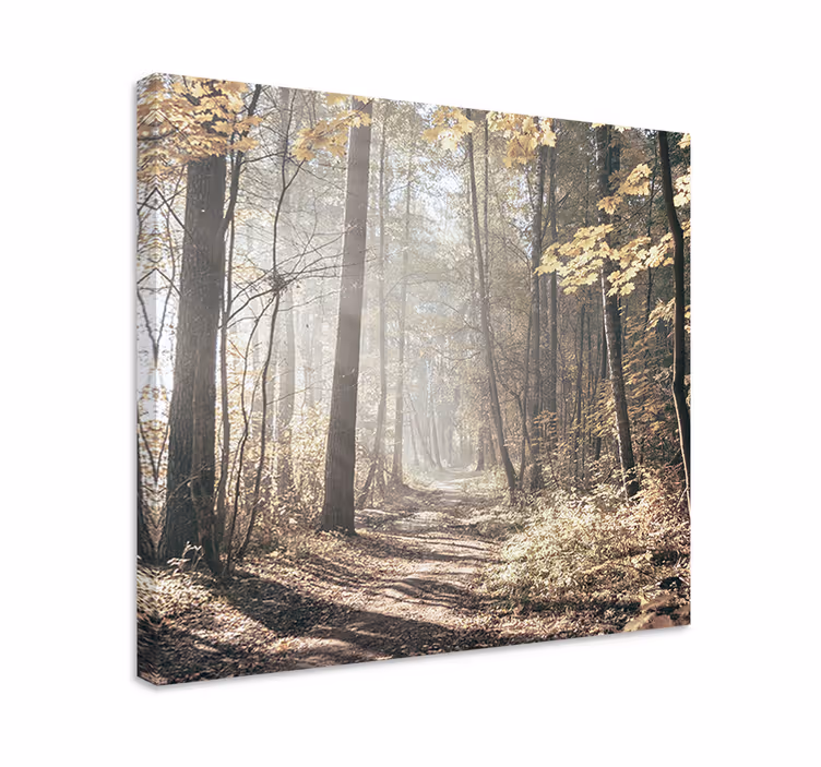 Landscape canvas mist covered path - TenStickers