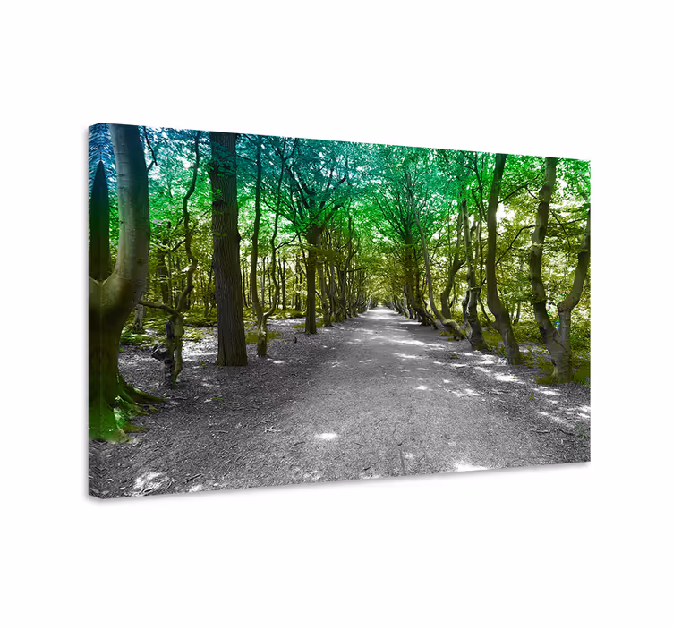 Tree canvas wall art verdant forest path - TenStickers