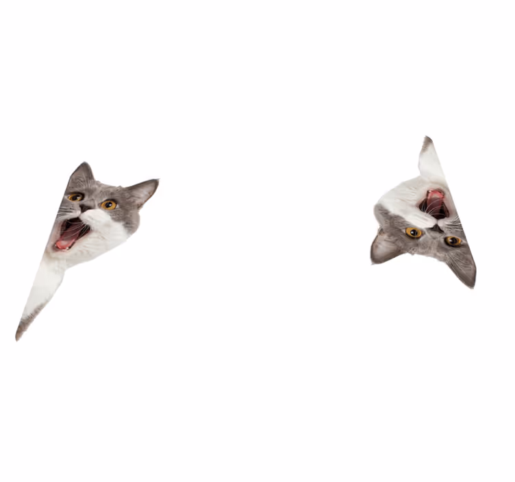 Animal vinyl carpet cat peeking on white background - TenStickers