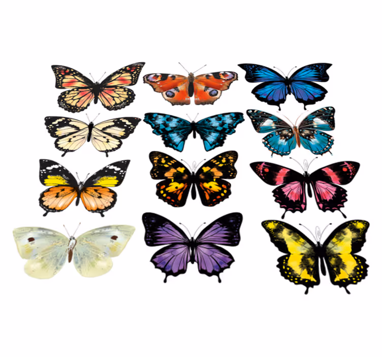 Animal vinyl carpet butterfly design - TenStickers