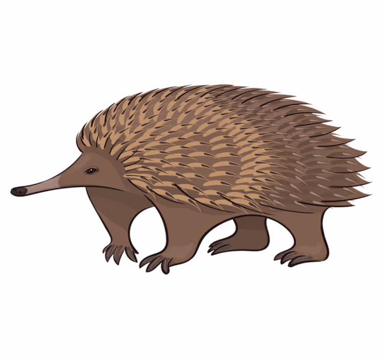 Animal vinyl carpet friendly hedgehog design - TenStickers