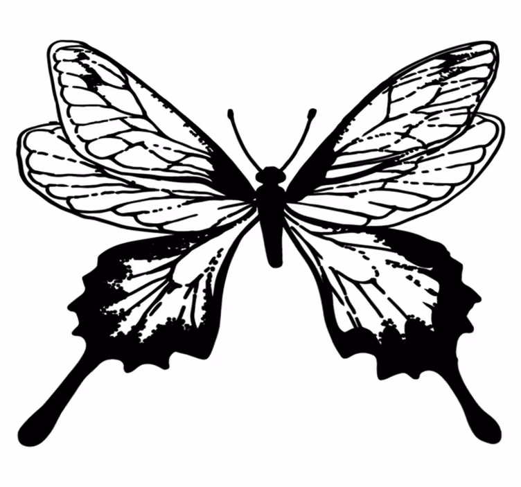 Animal vinyl carpet graceful butterfly outline - TenStickers