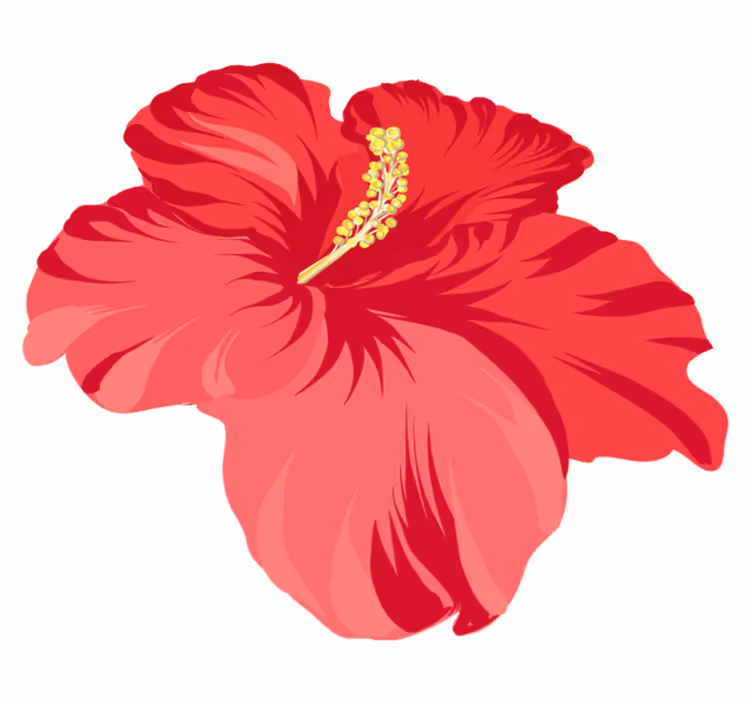 Floral vinyl carpet red hibiscus flower set - TenStickers