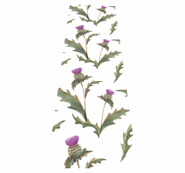 Bedroom vinyl carpet scottish thistles design - TenStickers