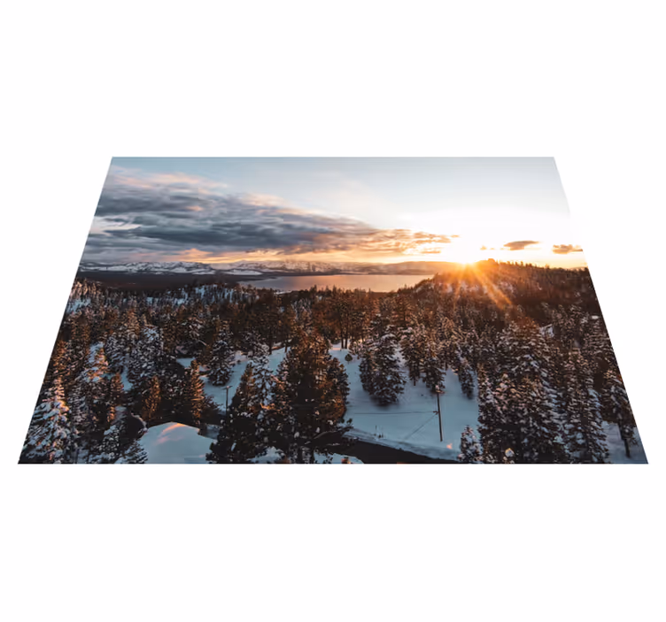 Nature vinyl carpet lush forest scenery - TenStickers