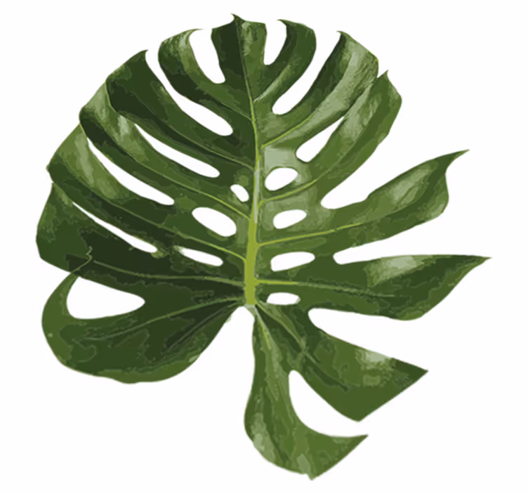 Floral vinyl carpet with delightful monstera leaf - TenStickers