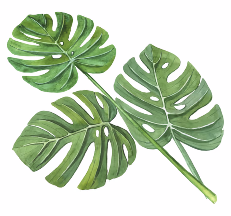 Floral vinyl carpet monstera watercolor leaves - TenStickers